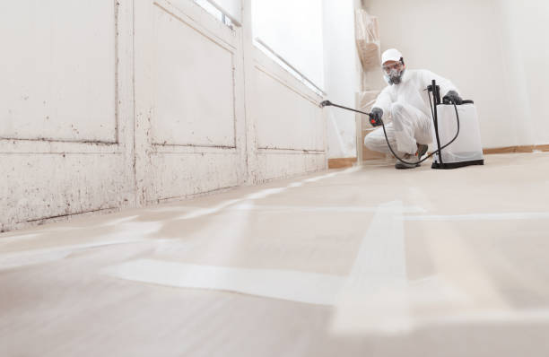 24/7 Emergency Mold Testing experts in Chapel Hill, NC