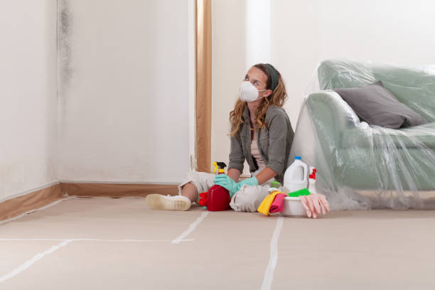 Reliable Mold Cleanup contractor in Chapel Hill, NC by Cheap Mold Removal